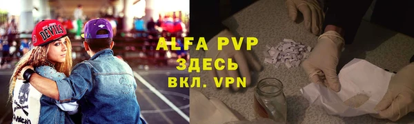 твердый Абаза