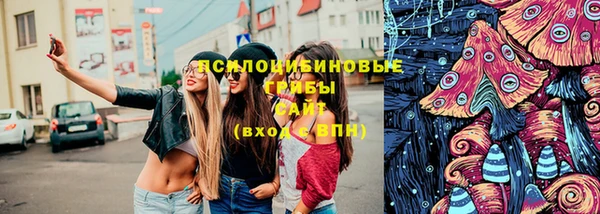 твердый Абаза