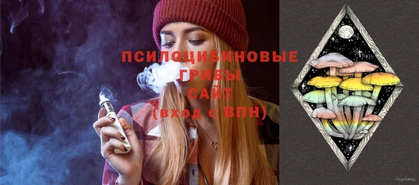 твердый Абаза