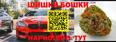 индика Кохма