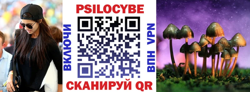 Псилоцибиновые грибы Psilocybine cubensis  Шарыпово 