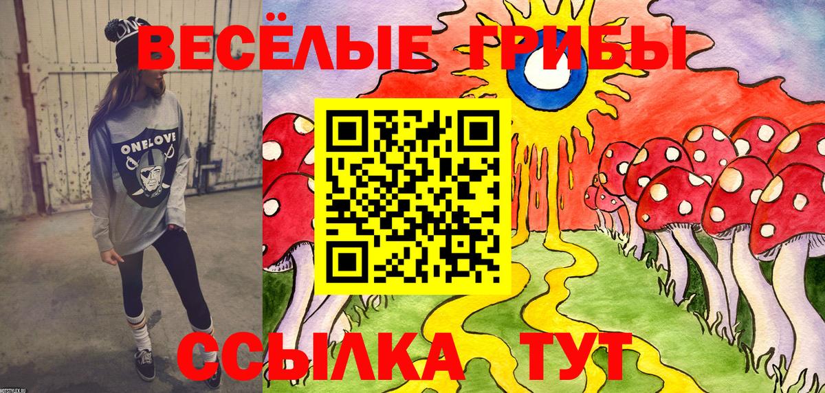Псилоцибиновые грибы прущие грибы  Вход с VPN  Шарыпово 