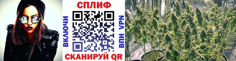 Шишки марихуана конопля  Шарыпово 